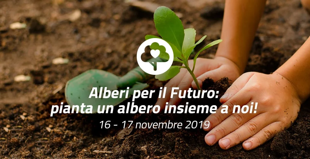 Alberi per il futuro. Il 16 e 17 novembre festeggiamo i nostri alleati più preziosi