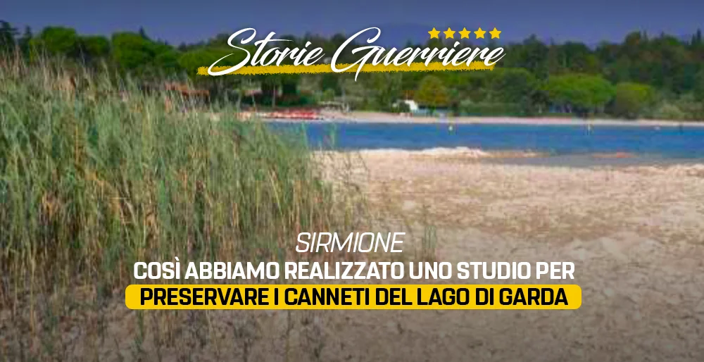 Così abbiamo realizzato uno studio per preservare i canneti del Lago di Garda