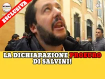 #SalviniProEuro