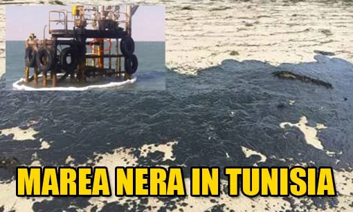 Marea nera in Tunisia dopo l'incidente alle trivelle