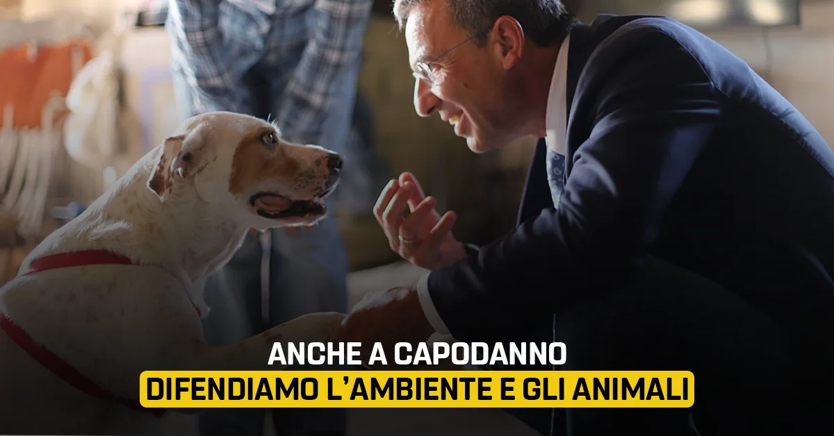Anche a Capodanno difendiamo l'ambiente e gli animali