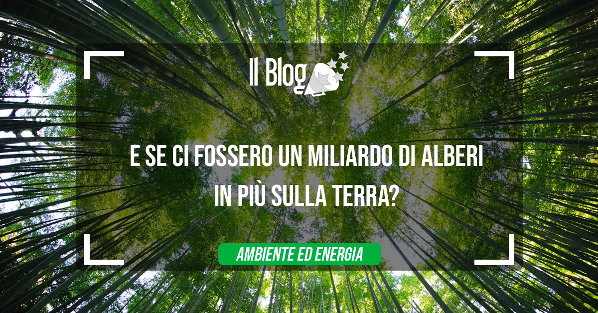 E se ci fossero un miliardo di alberi in più sulla Terra?