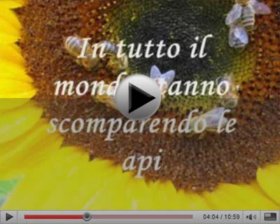 La nicotina e la morte delle api