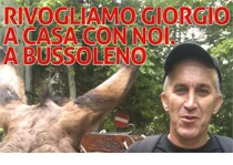 Giorgio Rossetto deve tornare a Bussoleno